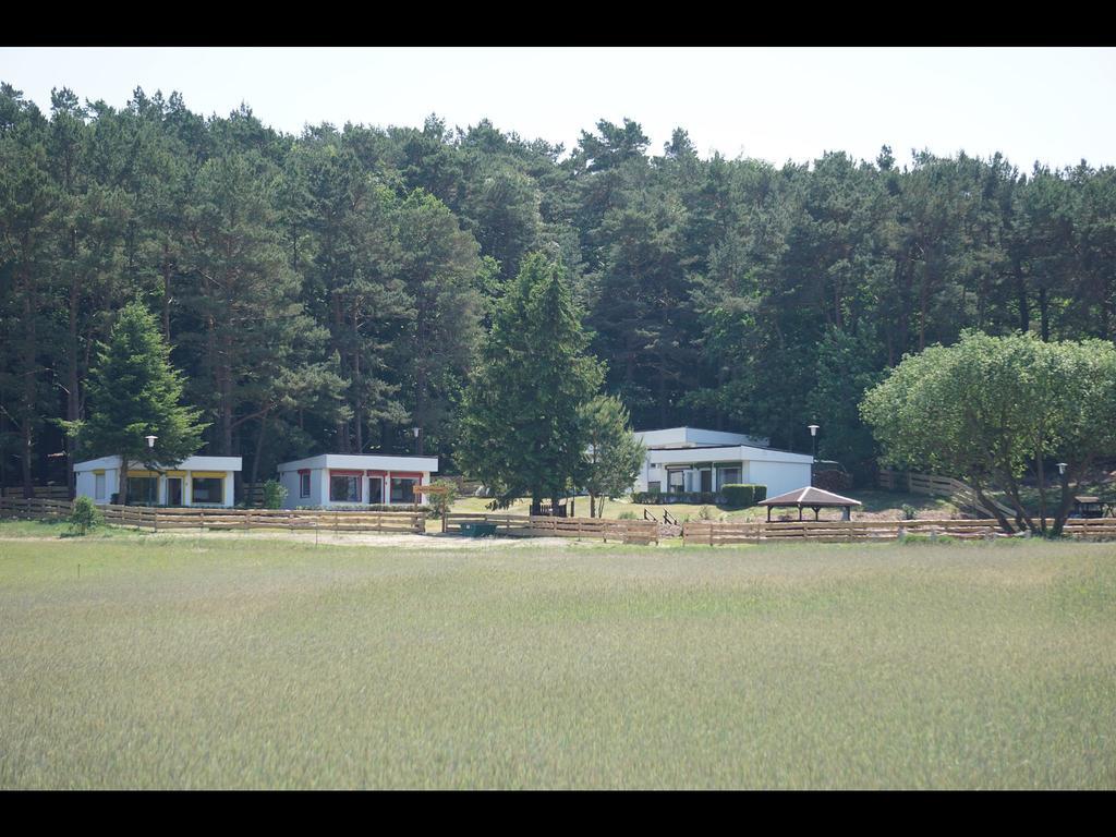 Bungalow Ueckeritz 外观 照片